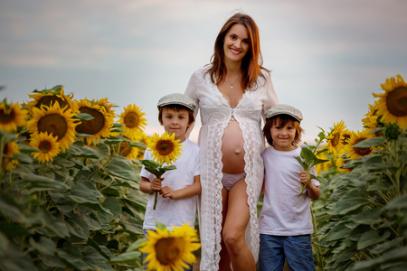 Beautiful pregnant woman and her two sweet sons, hugging happily in sunflower field on sunsetの写真素材