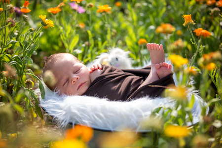 Cute newborn baby boy, sleeping peacefully in basket in flower gardenの写真素材