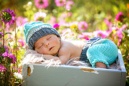 Cute newborn baby boy, sleeping peacefully in basket in flower gardenの写真素材