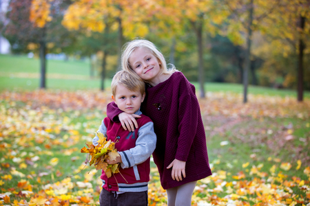 Sweet siblings, brother and sister, playing in the park with leaves, autumn time. Children play, family concept, happinessの写真素材