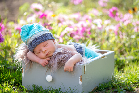 Cute newborn baby boy, sleeping peacefully in basket in flower gardenの写真素材