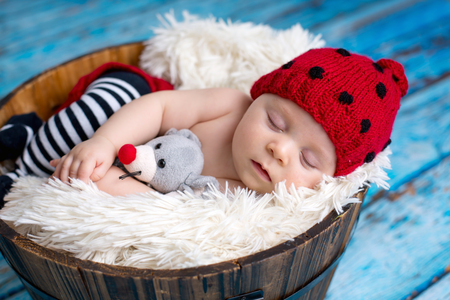 Little baby boy with knitted ladybug hat and pants in a basket, sleeping peacefully in a basket, isolated studio shotの写真素材