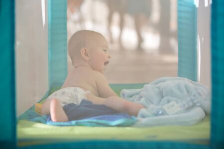 Little cute baby boy, playing with toys in a mobile crib on a sunny day, picture through webの写真素材