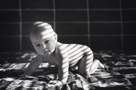 Cute portrait of little toddler boy in bed, sun ight falling on him on stripes through sun blinds in the afternoonの写真素材