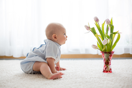 Cute baby boy,  holding bouquet of fresh tulips for mom. Happy Mother's Dayの写真素材