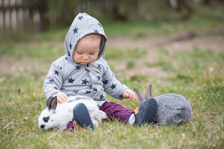 Cute little baby boy, playing with rabbits, petsの写真素材