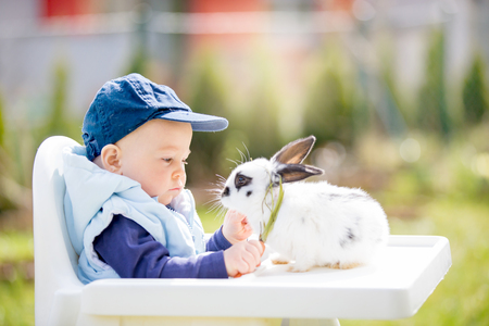 Cute little baby boy, child feeding little bunny with carrots in park, outdoorsの写真素材