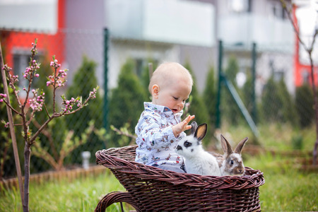 Little baby boy in trolley with cute bunny in blooming garden, springtime
