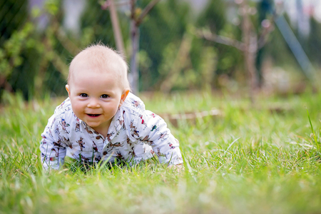 Little baby boy crawling in a gardenの写真素材
