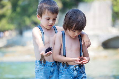 Two children, boy brothers, holding sea urchin on the beach, summertimeの写真素材