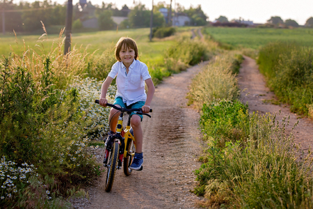 Sporty children, boy brothers, riding bikes on a rural landscape together on sunsetの写真素材