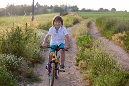 Sporty children, boy brothers, riding bikes on a rural landscape together on sunsetの写真素材