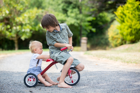 Cute toddler boy and his older brother, playing with tricycle in backyard, summertimeの写真素材