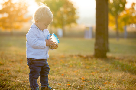 Little toddler boy, eat dry fruits from a smart snack box with silicon top in a park on sunsetの写真素材