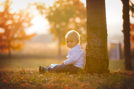 Little toddler boy, eat dry fruits from a smart snack box with silicon top in a park on sunsetの写真素材