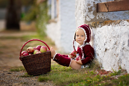 Child eating apples in a village in autumn. Little baby boy playing with apples. Kids pick fruit in a basket. Toddler eating fruits at fall harvest. Outdoor fun for childrenの写真素材