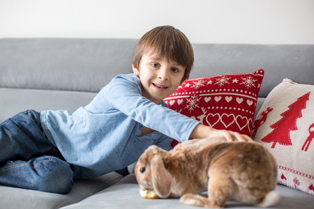 Cute little boy feeding rabbits with apple at home in sunny roomの写真素材