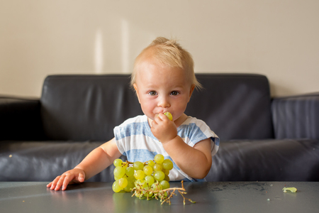 Baby boy, child, eating grape at home in living room, bitingの写真素材