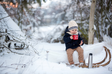 Sweet siblings, children having winter party in snowy forest. Kids friends rest outdoor at nature. Young brothers, boys, drinking tea from flask. Hot drinks and beverage in cold weatherの写真素材