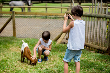 Preschool boy, petting little goat in the kids farm. Cute kind child feeding animals in the zooの写真素材