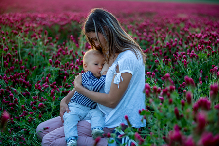 Beautiful young mother, breastfeeding her toddler baby boy in gorgeous crimson clover field on sunset, springtimeの写真素材