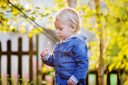 Little toddler boy with jeans and shirt, holding cute flowers on sunset in the park