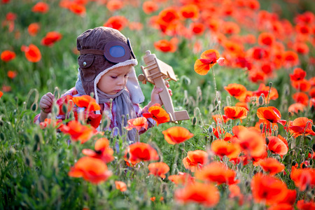 Sweet toddler baby boy, child playing with airplane in poppy fiead, beautiful sunny summer dayの写真素材