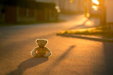 Little teddy bear, sitting on the street on sunset, back lit with light