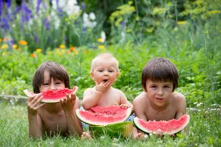 Cute children, baby boy and two brothers, eating ripe watermelon in garden, tasty fruitsの写真素材