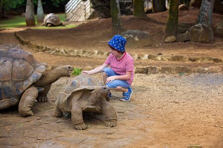 Happy family, toddler, older children and parents, feeding giant tortoises in a exotic park on Mauritius island. Big turtle and kidsの写真素材