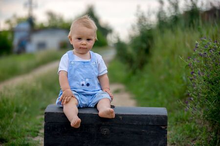 Cute toddler boy, sitting on vintage suitcase, playing with teddy bear on rural path on sunset, summertimeの写真素材
