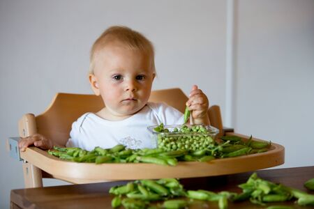 Toddler child, cute boy in white shirt, eating fresh pea at homeの写真素材