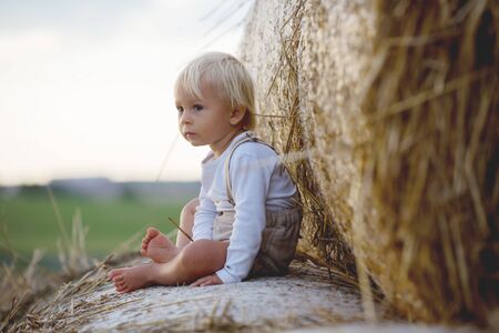 Happy children, playing on haystacks in a field, summertimeの写真素材
