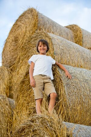 Happy children, playing on haystacks in a field, summertimeの写真素材