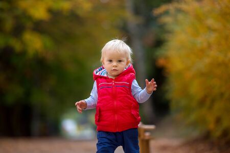 Little toddler boy with teddy bear, riding wooden dog balance bike in autumn park on a sunny warm day, children leisure activities and happiness conceptの写真素材