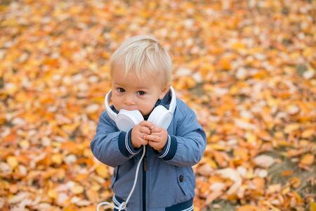 Close portrait of a sweet smiling toddler baby boy in autumn park on sunsetの写真素材