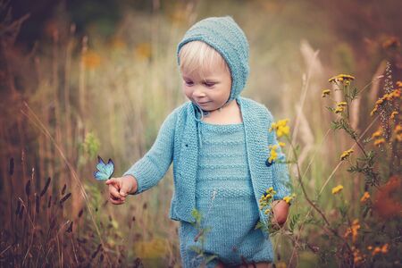 Beautiful toddler child, boy with handmade knitted outfit, holding butterfly on his finger in beautiful flower field, summertimeの写真素材