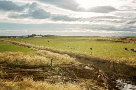 Scenic landscape view of Icelanding fields and beatuiful areal view of the nature autumntimeの写真素材