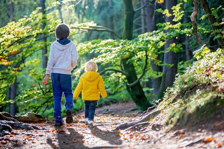 Portrait of toddler boy and his preschool brother, walking on a little forest path on a sunny autumn dayの写真素材