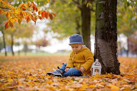 Beautiful fashion toddler boy, reading a book in park with lantern in hand and backpackon his backの写真素材
