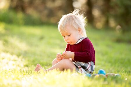 Sweet toddler boy, egg hunting for Easter, child and Easter day traditions. Kids and holidays