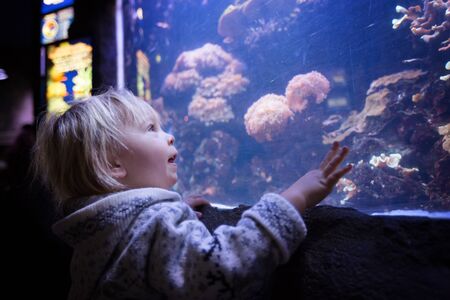 Child, enjoying sea life in aquarium, watching fishes
