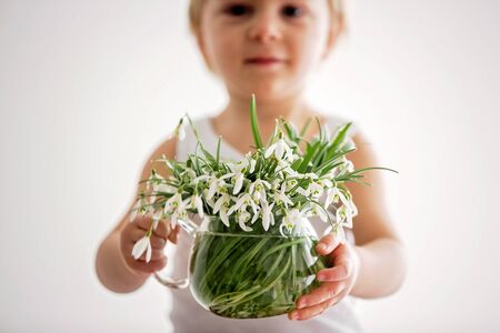 Beautiful boy, toddler blond child, holding spring flowers, beautiful snowdrops in a vase