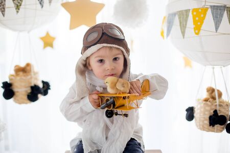 Cute little child, boy, playing with chicks at home, pretending that he is flying in the sky, pilot with plane and pet chickの写真素材