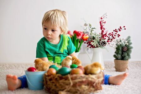 Sweet toddle blond boy, child, playing with cute little newborn chicks in a bucket and easter eggs at homeの写真素材