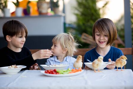 Cute children, boy brothers, eating spaghetti in garden summertimeの写真素材