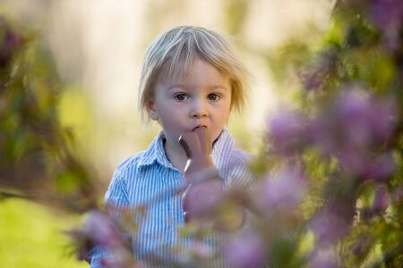 Little toddler boy, eating chocolate bunny in garden on sunset, easter eggs around himの写真素材