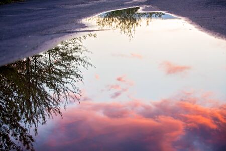 Beautiful sunset clouds and tree, reflecting in big water puddle
