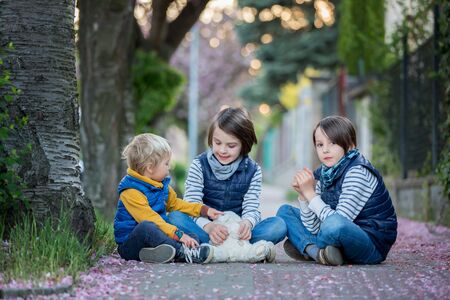 Children, playing on the street with blooming pink cherry trees on sunset, riding bikes