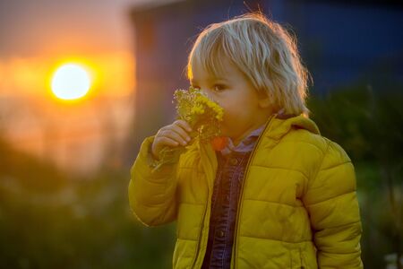 Little child, boy holding poppy on sunset picture taken through a glass ball